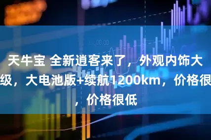 天牛宝 全新逍客来了，外观内饰大升级，大电池版+续航1200km，价格很低