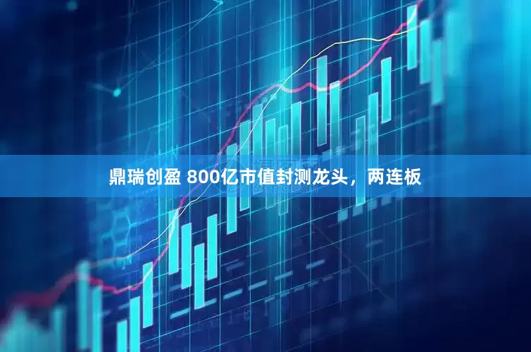 鼎瑞创盈 800亿市值封测龙头，两连板